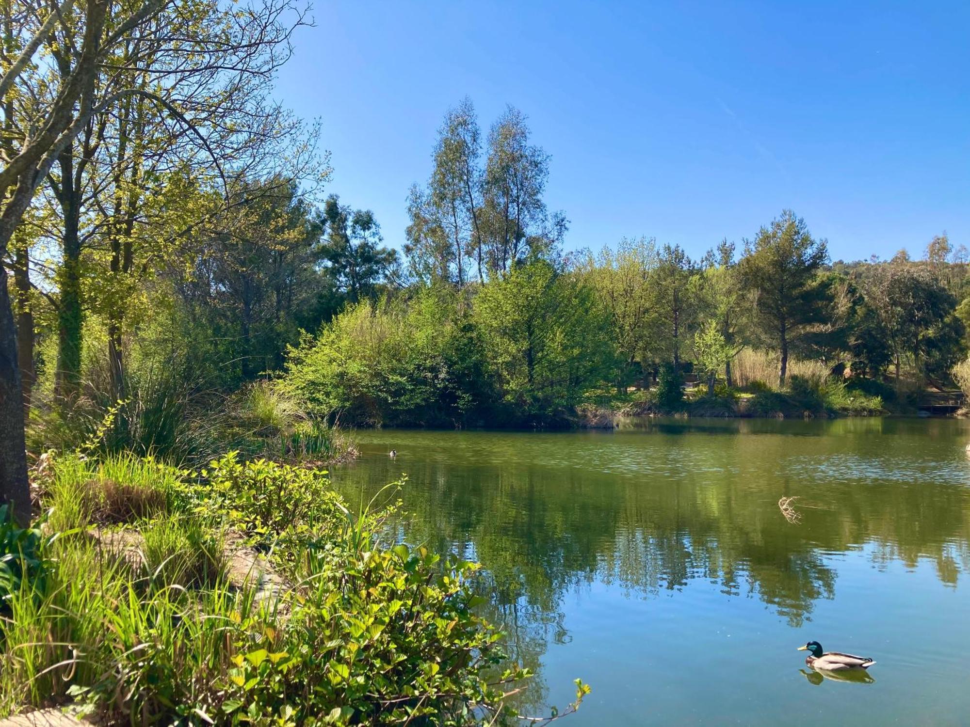 Les Restanques 3120 Vue Mer 3 Chambres Grimaud Εξωτερικό φωτογραφία